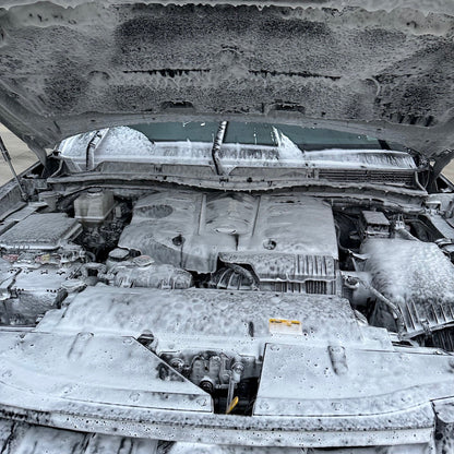 Beach 2 Clean: Engine Bay Foam Up